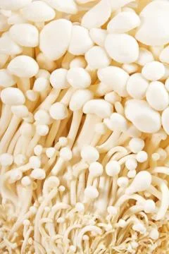 Enoki Mushrooms Stock Photos