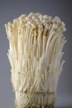 Enokitake Mushrooms Stock Photos