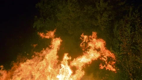 Enormous Fire Flames At Dark Forest Glowing At Night. Slow Motion Stock Footage 172181755