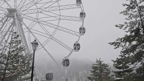 Enormous white wheel overlooking tranquil forest landscape 動画素材 333334658