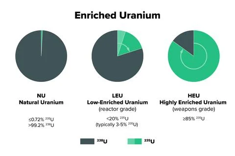 Enriched uranium, labeled charts 스톡 일러스트