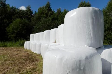 Ensilage in plastic Stock Photos