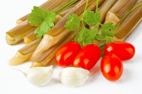 Ensis siliqua Stock Photos