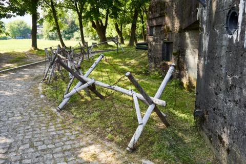 Entanglements Stock Photos