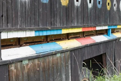 Enter to the bee hive Stock Photos