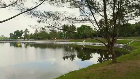 Enter the lake reflection of trees embung Java Indonesia Видео 253526212