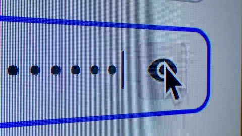 Enter password on PC, Log in Close up of computer screen entering correct Stock Footage 295225941