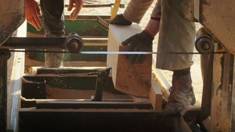 Enter the world of the sawmill and watch as workers use their saws to transform Stock Footage 235536765