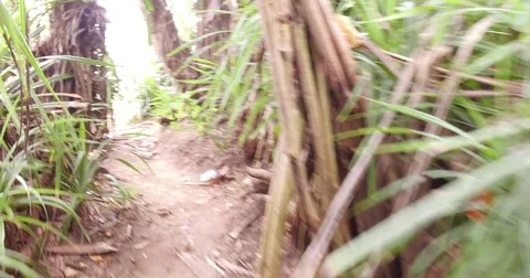 Entering the beach via jungle Stock Footage 71811350