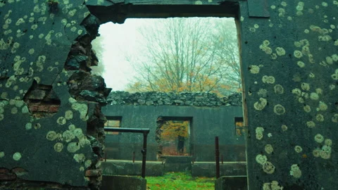 Entering The Broken Door Of An Old Abandoned Building Stock Footage 316686876