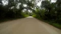 entering a dark canopy of trees 4k or 4k+ Resolution