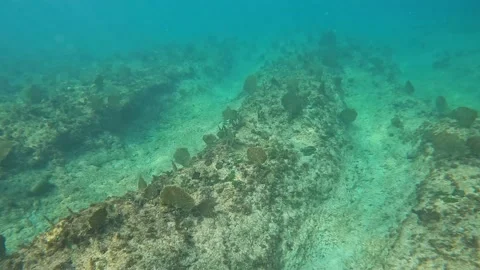 Entering the Eden Rock Dive Reef in the Cayman Islands. Stock Footage 237140602