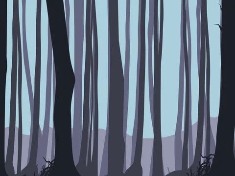 Entering the Forest Stock Footage 76974934