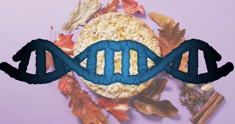 Entering left, 3D DNA helix sliding oat pie with leaves, twisting rotating Stock Footage 317834604
