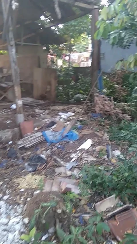 Entering a long abandoned house 動画素材 239071192