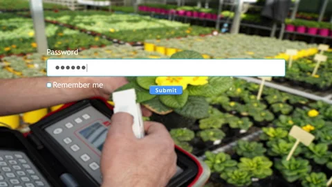 Entering password on a website amidst background of flowers in greenhouse Stock Footage 334022531