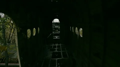 Entering the pilot cabin of the plane destroyed in a serious crash in the forest Stock Footage 171957067