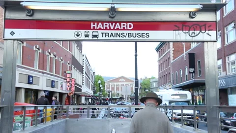 ENTERING THE T Stock Footage 182942932