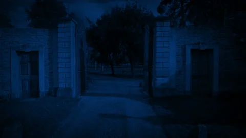 Entering Through Mansion Gates At Night Video stock 234563830