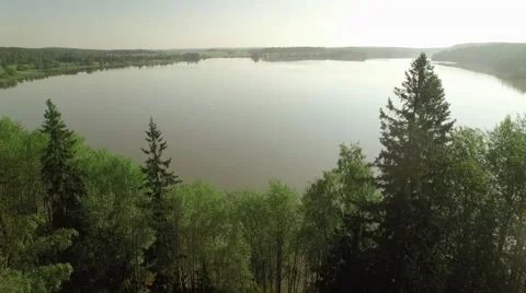 Entering towards a calm lake between spruce trees at a lakeside hill Stock Footage 68901802