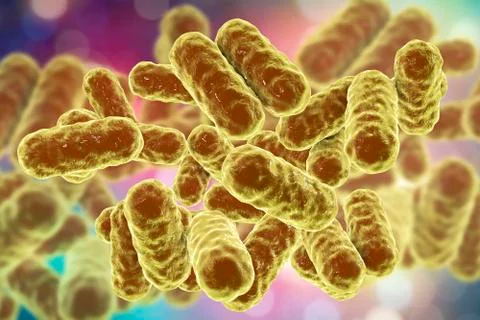 Enterobacter bacteria, gram-negative rod-shaped bacteria Stock Illustration