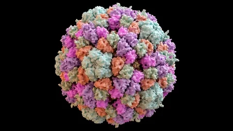 Enterobacteria Bacteriophage phiX174 Capsid Structure based on PDB : 1CD3, 360 d Stock Footage 107350323