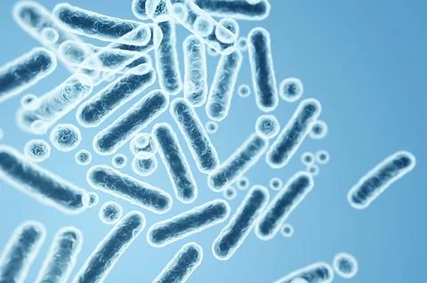 Enterobacteriaceae bacteria, gram-negative rods, close-up of microorganisms c Stock Illustration