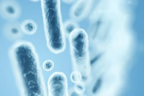 Enterobacteriaceae bacteria, gram-negative rods including Escherichia coli an Stock Illustration