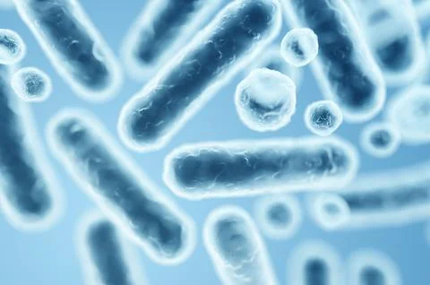 Enterobacteriaceae bacteria, gram-negative rods including Escherichia coli an Stock Illustration