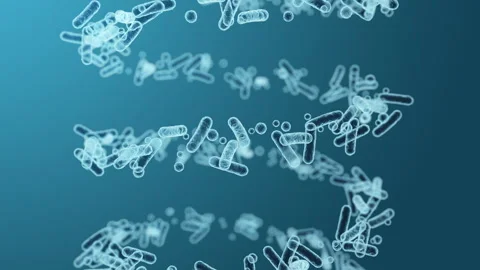 Enterobacteriaceae, gram-negative rod-shaped bacteria Stock-Footage 260448874