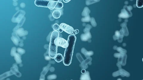 Enterobacteriaceae, gram-negative rod-shaped bacteria Video stock 260596026