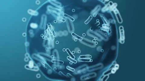 Enterobacteriaceae, gram-negative rod-shaped bacteria 스톡 동영상 272796353