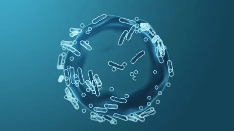 Enterobacteriaceae, gram-negative rod-shaped bacteria 스톡 동영상 272796874