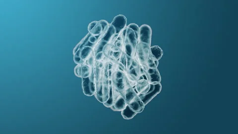 Enterobacteriaceae, gram-negative rod-shaped bacteria 스톡 동영상 294498912