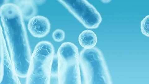 Enterobacteriaceae, gram-negative rod-shaped bacteria Stock Footage 338259757