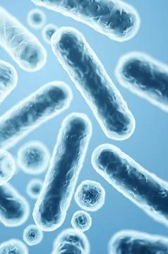 Enterobacteriaceae, gram-negative rod-shaped bacteria, causative agents of in Stock Illustration