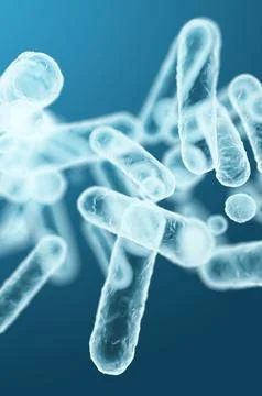 Enterobacteriaceae gram-negative rod-shaped bacteria, microbiome of intestine Stock Illustration
