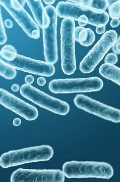 Enterobacteriaceae, gram-negative rod-shaped bacteria, intestinal microbiome  Stock Illustration