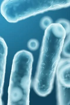 Enterobacteriaceae, gram-negative rod-shaped bacteria, part of intestinal mic Illustration