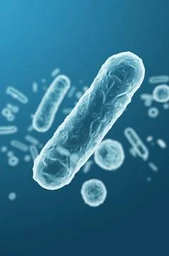 Enterobacteriaceae, gram-negative rod-shaped microbes of intestinal microbiom Stock Illustration