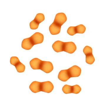 Enterococcus faecalis. Pathogenic flora. The bacterium causes intestinal Stock Illustration