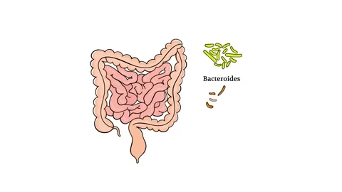 ENTEROTYPES OF THE HUMAN GUT MICROBIOME VIDEO Medical Education Stock Footage 290853416