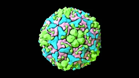 Enterovirus 71, 3D animation Vidéo 64822533