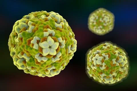 Enterovirus D68, illustration Stock Illustration