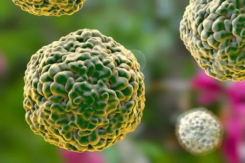 Enterovirus D68, illustration Stock Illustration