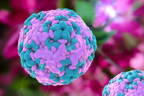 Enterovirus D68, illustration Stock Illustration