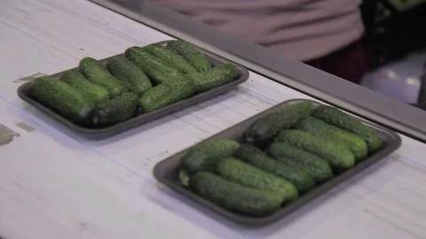 At the enterprise on a conveyor go cucumbers in a container. Stock Footage 77650553