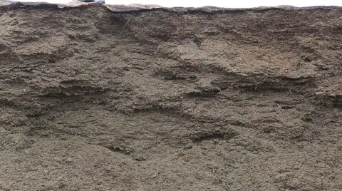 Enterprise for processing organic waste. Organic waste and vyrobotka energy. Video stock 68111173