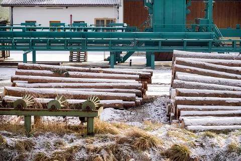 An enterprise for processing timber into timber in the system of the logging Foto stock