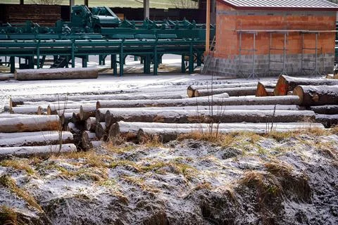 An enterprise for processing timber into timber in the system of the logging Stock Photos